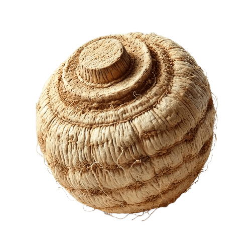 Maca Root Extract