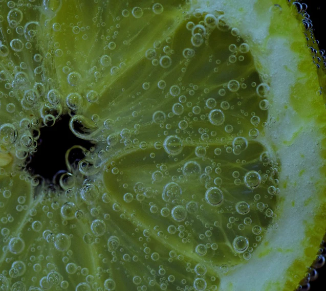 patchloads_c_herbal_diet_patch