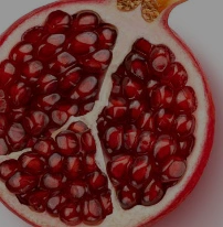 patchloads_c_smart_diet_patch_flat_tummy_support