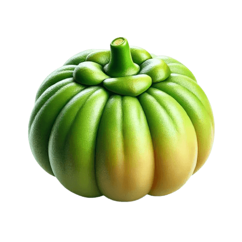 A powerful Garcinia Cambogia patch supporting dietary goals.