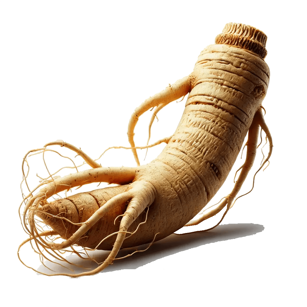 Ginseng root for natural energy and improved mental clarity.
