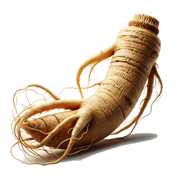 Ginseng